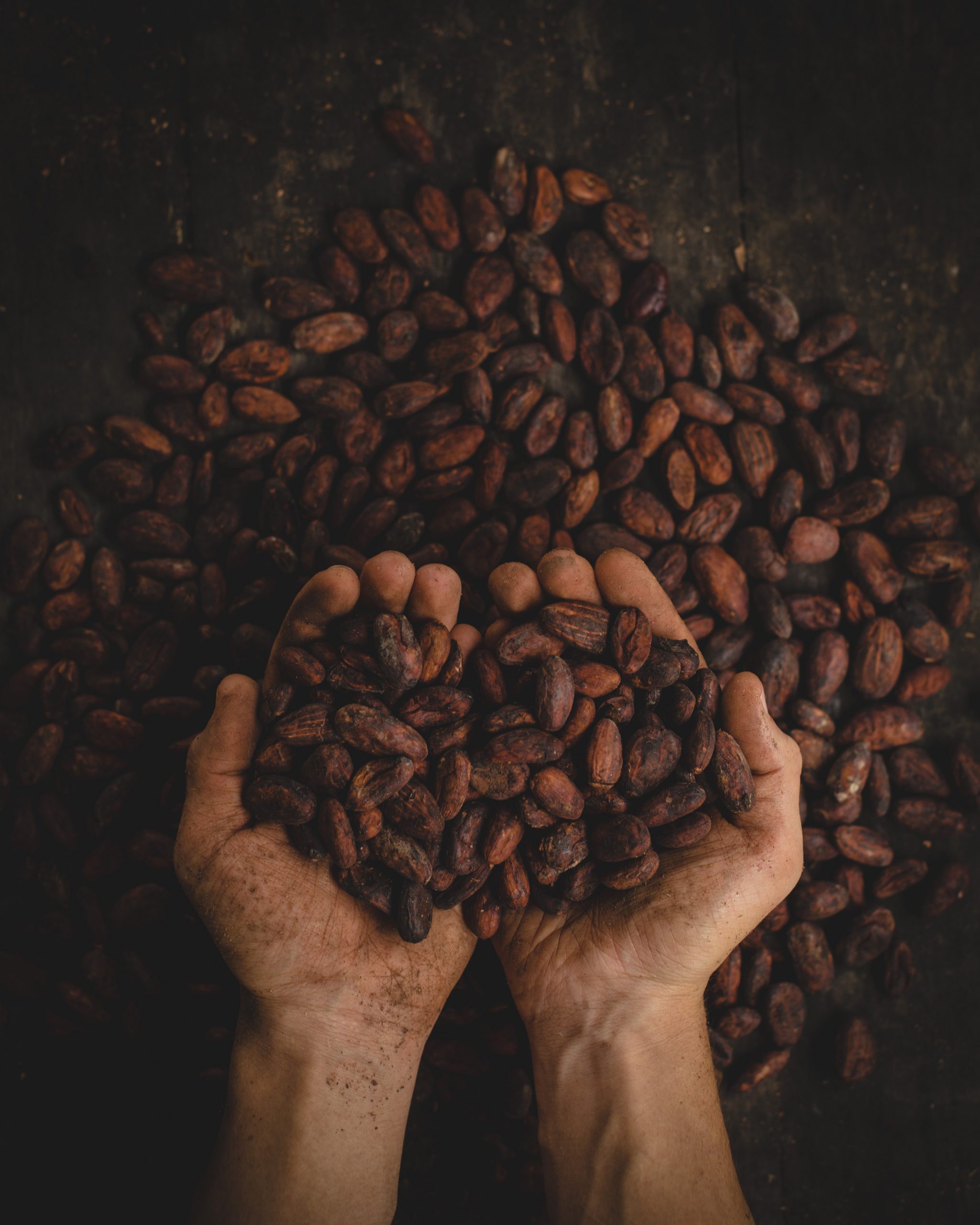 Ivory Coast and Ghana cancel cocoa sustainability schemes run by Hershey