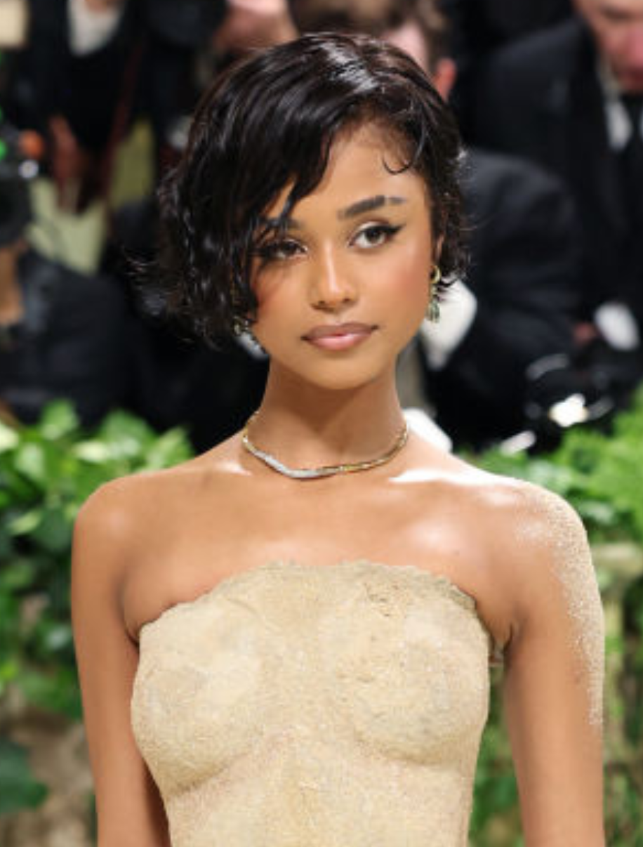 The Best Dressed Looks At This Year's Met Gala, Tyla, Zendaya And More