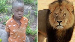 Miraculous Survival: Eight-Year-Old Endures Five Days in Lion Territory